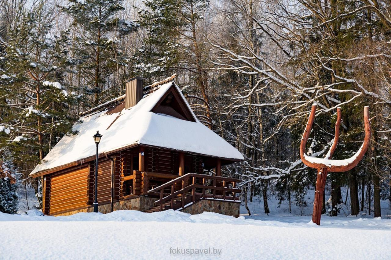 Ski Complex Logoysk Łohojsk Zewnętrze zdjęcie